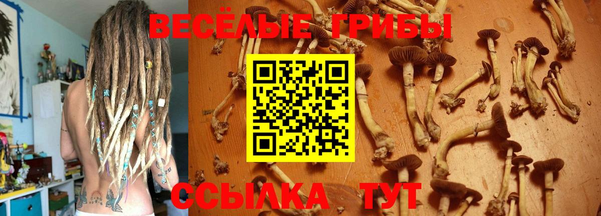 Махачкала  Галлюциногенные грибы GOLDEN TEACHER  Вход с VPN  Галлюциногенные грибы Cubensis 